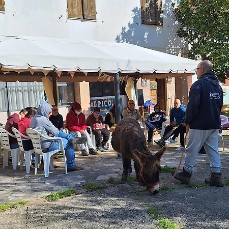 Baldo E Riccia - Con Centro Terapie Assistite Con Animali Çiftlik konaklama Perugia