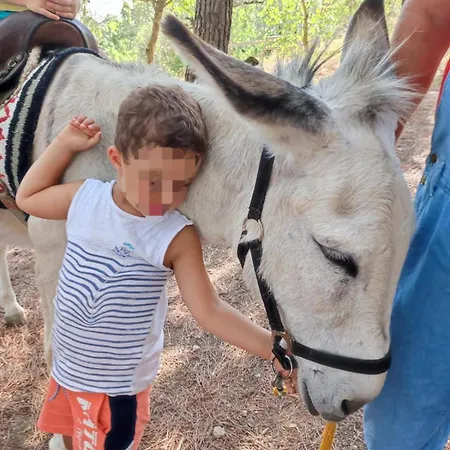 Baldo E Riccia - Con Centro Terapie Assistite Con Animali *