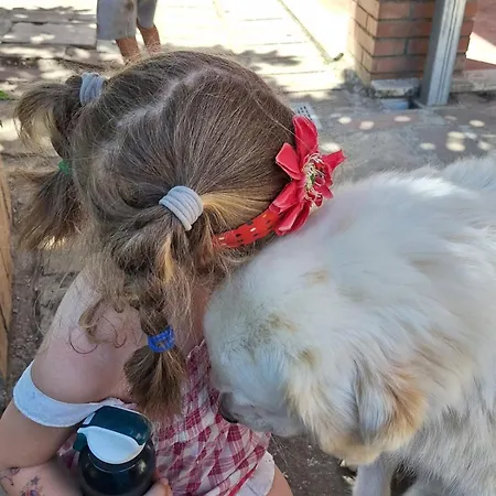 Baldo E Riccia - Con Centro Terapie Assistite Con Animali Perugia
