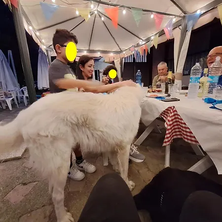 Baldo E Riccia - Con Centro Terapie Assistite Con Animali *