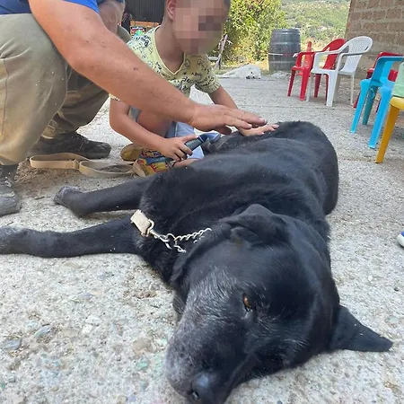 Vakantieboerderij Baldo E Riccia - Con Centro Terapie Assistite Con Animali Perugia