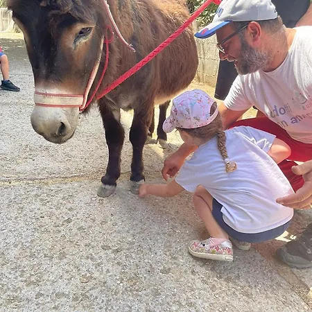 Baldo E Riccia - Con Centro Terapie Assistite Con Animali * 佩鲁贾