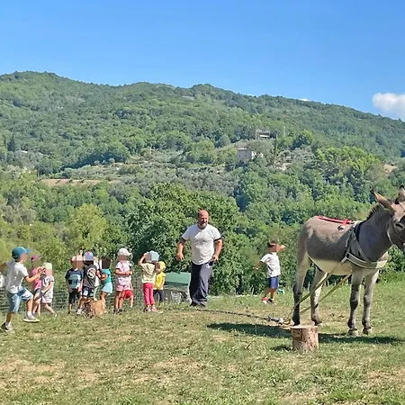 Baldo E Riccia - Con Centro Terapie Assistite Con Animali Farm stay *