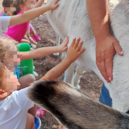Baldo E Riccia - Con Centro Terapie Assistite Con Animali * Perúgia