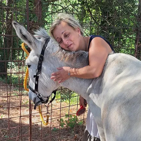 Farm stay Baldo E Riccia - Con Centro Terapie Assistite Con Animali Perugia