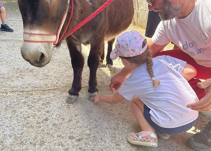 Baldo E Riccia - Con Centro Terapie Assistite Con Animali * Perugia