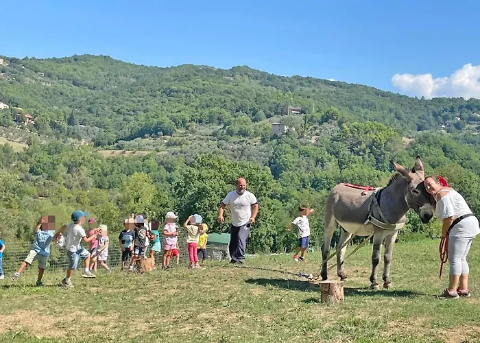 Baldo E Riccia - Con Centro Terapie Assistite Con Animali Farma *
