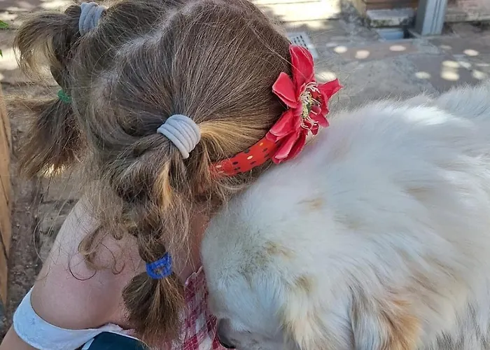 Baldo E Riccia - Con Centro Terapie Assistite Con Animali Perugia